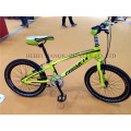 Bicicleta do OEM BMX da boa qualidade da cor clara, 20 &quot;bicicleta nova do estilo livre